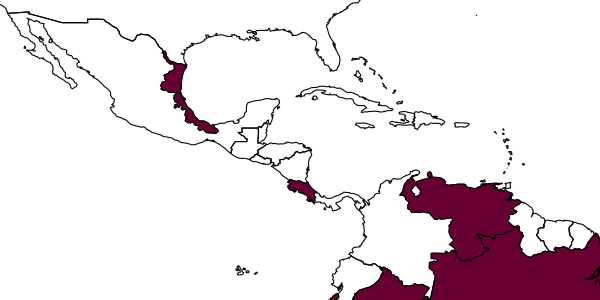 map of Ipsiura covillei     Bohart, 1985